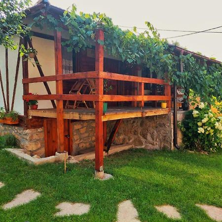 Mitrovic Apartment Boljevac Екстериор снимка