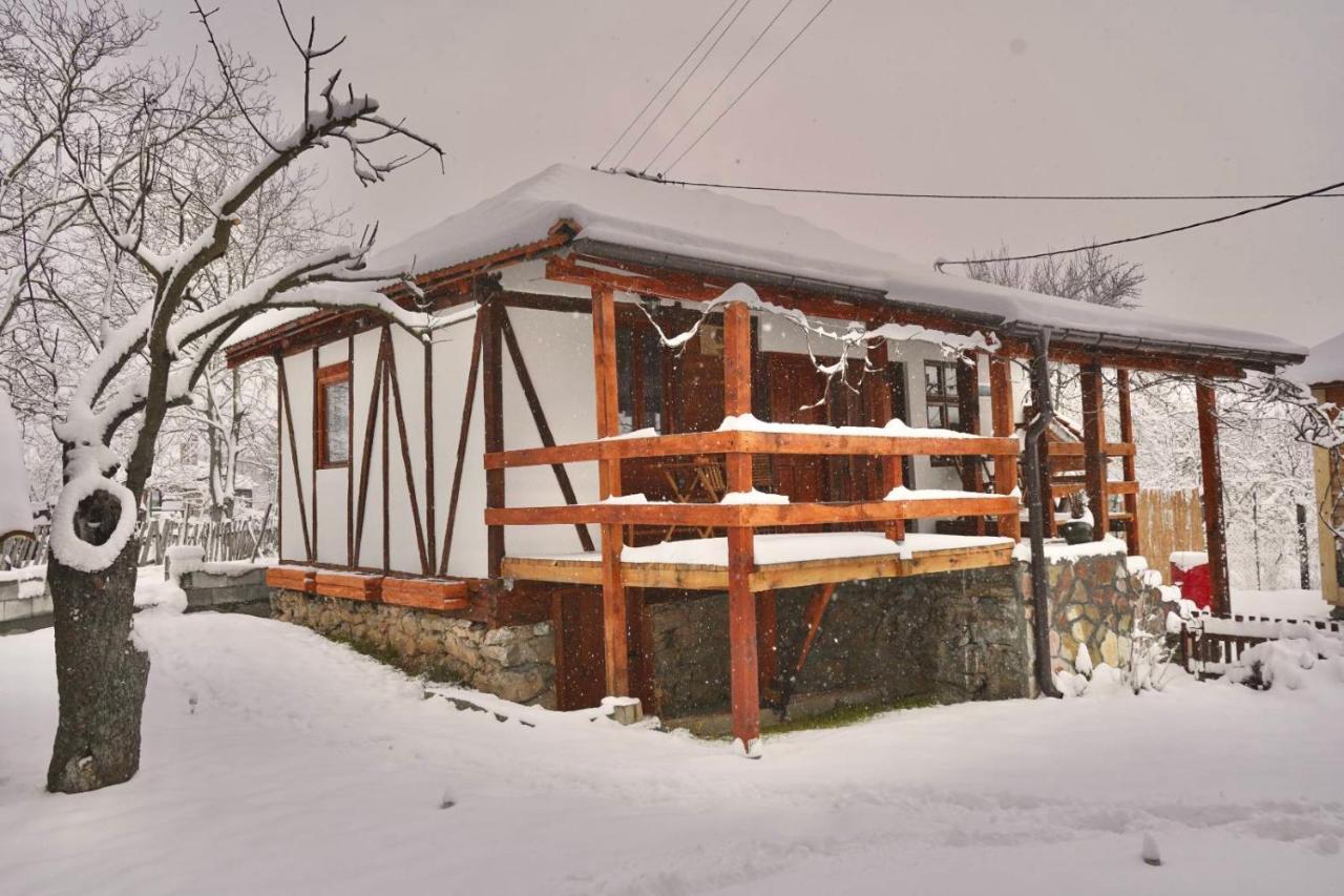 Mitrovic Apartment Boljevac Екстериор снимка