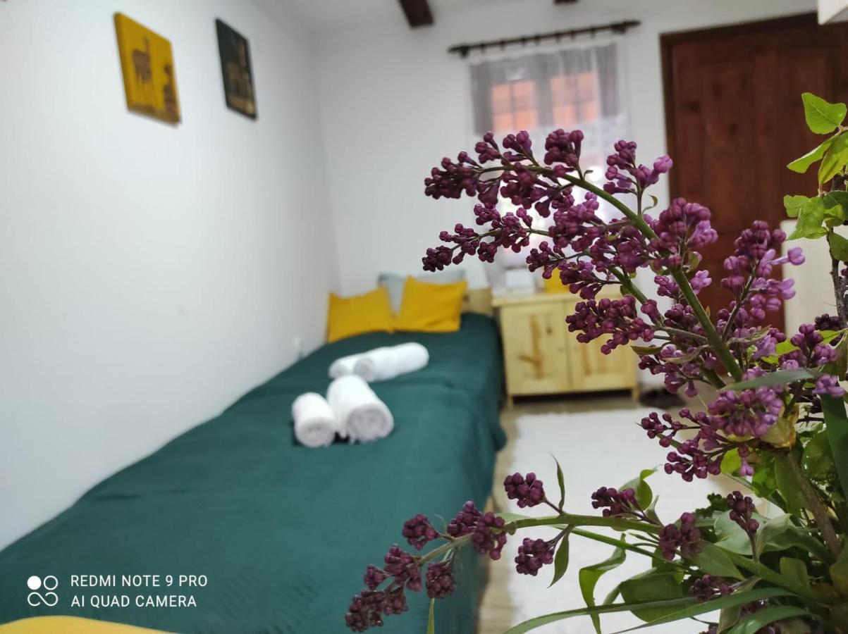 Mitrovic Apartment Boljevac Екстериор снимка