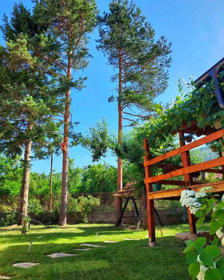 Mitrovic Apartment Boljevac Екстериор снимка