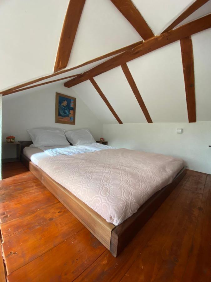 Mitrovic Apartment Boljevac Екстериор снимка