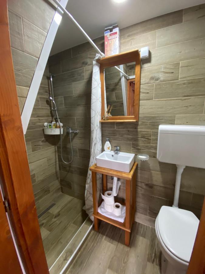 Mitrovic Apartment Boljevac Екстериор снимка