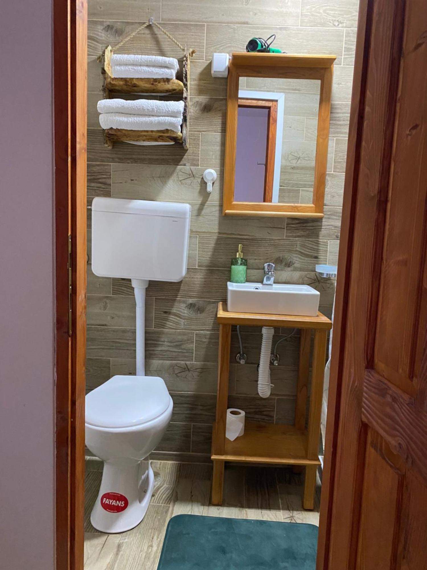 Mitrovic Apartment Boljevac Екстериор снимка