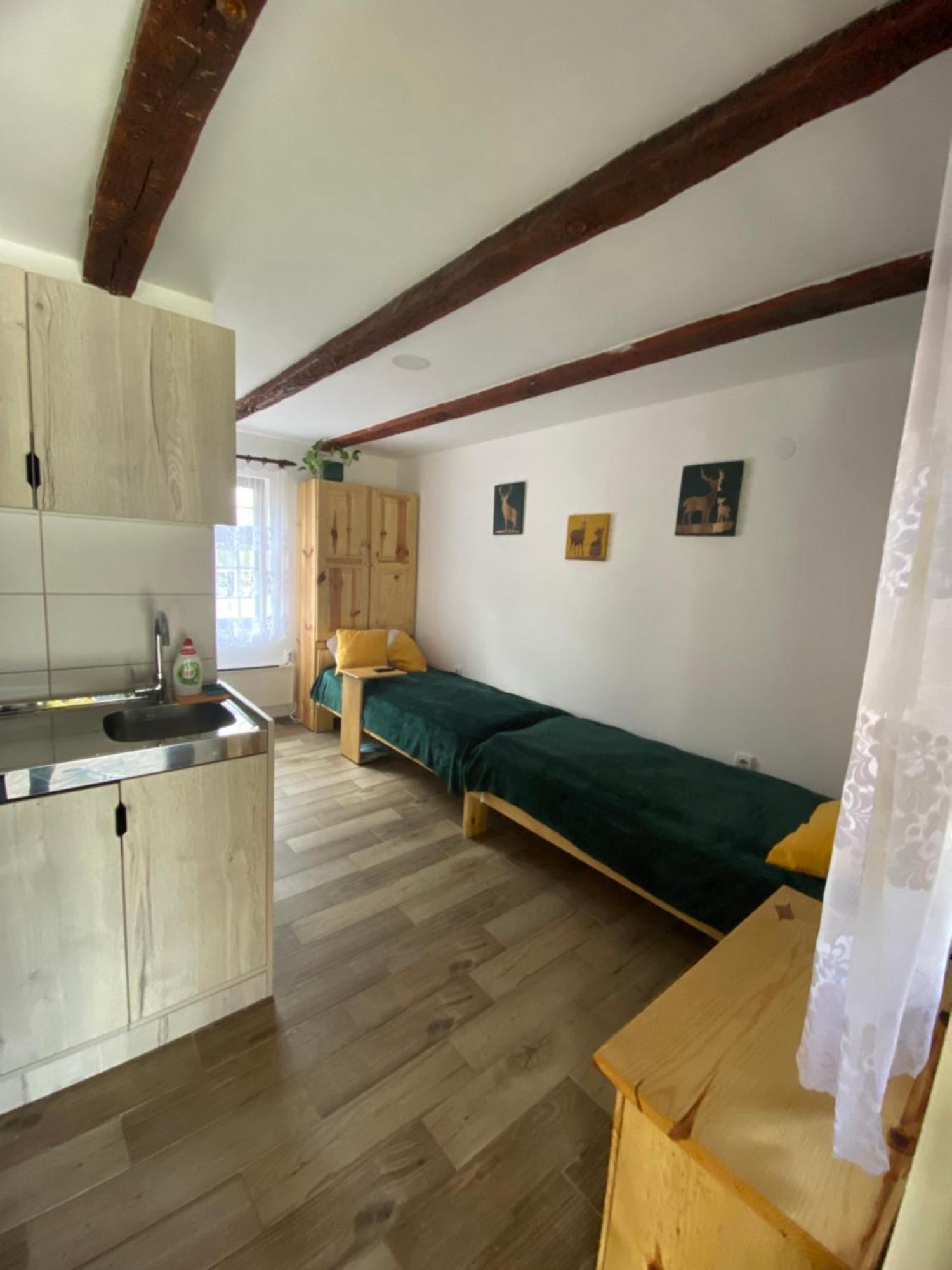 Mitrovic Apartment Boljevac Екстериор снимка